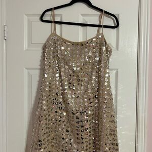 Zara Beige Elegant Sequin Dress